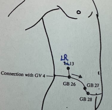 Dai Mai (Girdle Vessel): storage and release of old patterns around the waist and hips.