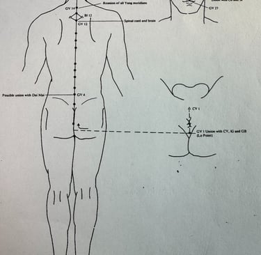 Du Mai (Governor Vessel): the yang ancestry of independence, posture, and the spine–brain axis.