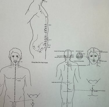 First Ancestry overview: Chong, Ren and Du Mai with guiding questions about identity and potential.
