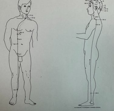 Second Ancestry overview: Yin and Yang Wei Mai showing how dots of experience unfold through life.