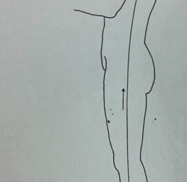 Yang Wei Mai (Yang Regulating Vessel): how our outer life and roles unfold through time.