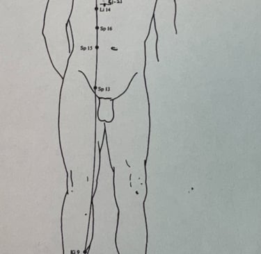 Yin Wei Mai (Yin Regulating Vessel): continuity of our inner story and emotional life.