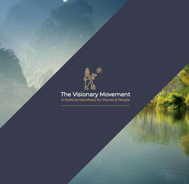 the visionary movement manifesto - front cover