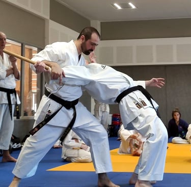 Technique adulte Taï-Jitsu