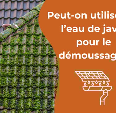 Peut-on utiliser de l’eau de javel pour le démoussage ?