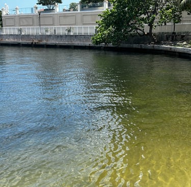 Monroe Co Fl Seawall 