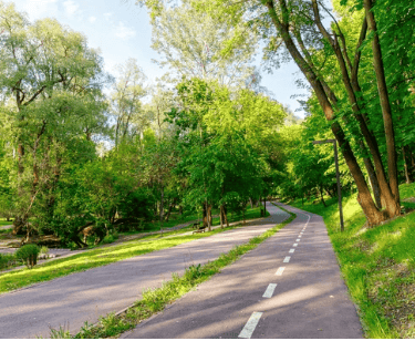 beautiful bike path ready for a ride on a toseven dm01 or dm02 middrive