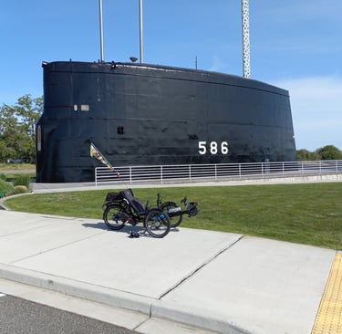 ICE Recumbent with DM01 1000W Mid Drive