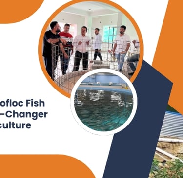 Understanding Biofloc Fish Farming: A Game-Changer for Modern Aquaculture