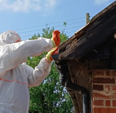 Licensed asbestos removal contractor removing garage roof materials in Essex using full protective equipment
