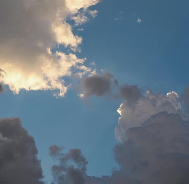 "la especial trascendencia constitucional"