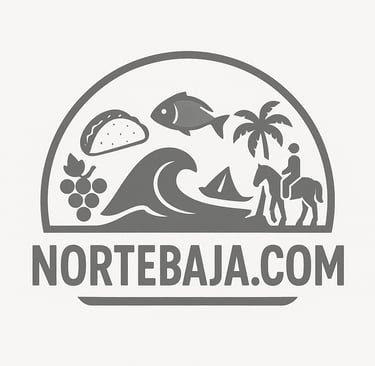 Baja California North Norte Baja Newsletter