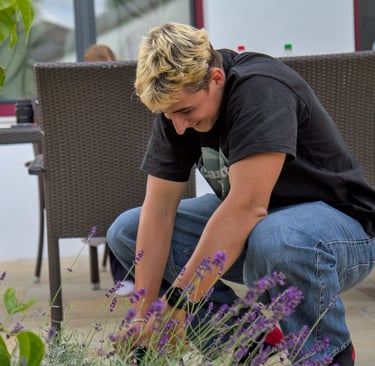 Ein Teammitglied erntet Lavendel