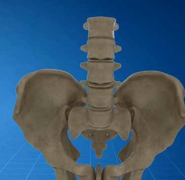SI Joint Medical Animation