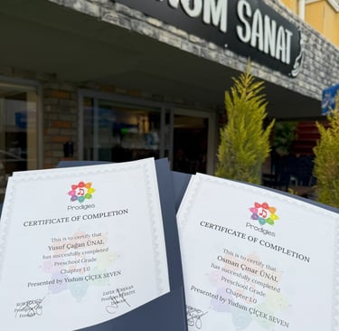 Prodigies Music Manavgat Lisanslı Uygulama Merkezi Tohum Sanat