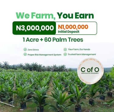 palm trees investment