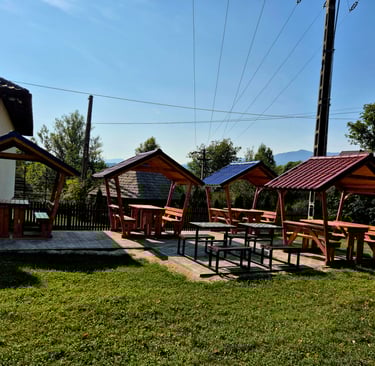 mese cu bănci și acoperiș imagine 3