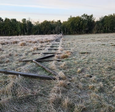 Cierre perimetral dañado por paso de vacas en parcela rural Región de la Araucanía