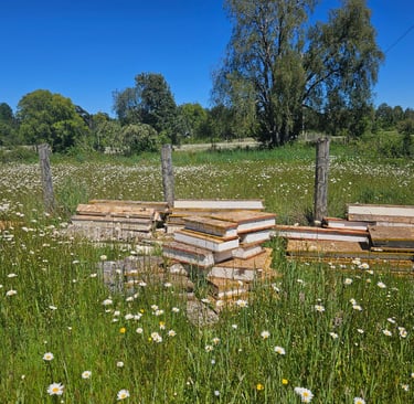 Escombros de construcción abandonados en parcela, generando riesgo de plagas y problemas sanitarios.