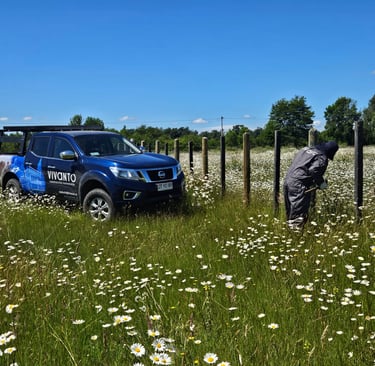 Reparación de cierre perimetral con nuevos postes y refuerzo estructural en Temuco
