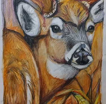 Original deer Coloured pencil drawing.  Deer in autumn artwork by the artist Angelina.N ArtNess. Young artist. 