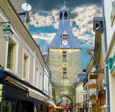 Gite vue Loire amboise