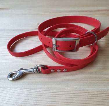 Waterproof dog collar and leash made of biothane material with stainless steel accessori