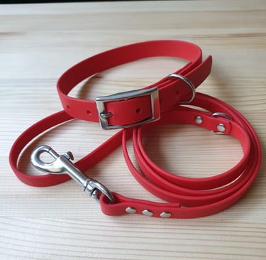 Biothane red dog collar and red leash