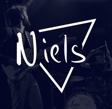 Logo personnalisé Niels avec bande graphique, design réalisé par Marion Guizzardi, directrice artistique, Montpellier.