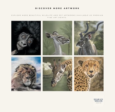 Animals Art