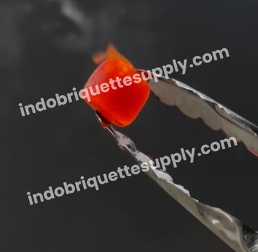 Burning Indonesia Coconut Charcoal Cube