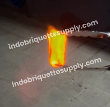 Burning Indonesia Coconut Charcoal Hexa Bright