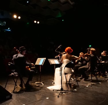 Spectacles Aïda concerts en cours de programmation