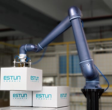 Estacion de paletizado ESTUN con robot colaborativo