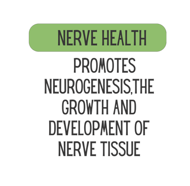 Mane Brain™ offers premium mushroom-based wellness products designed to support focus, memory,.