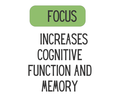 Mane Brain™ offers premium mushroom-based wellness products designed to support focus, memory,.