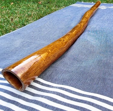 didgeridoo eucalyptus