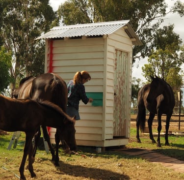 artist painting an outhouse