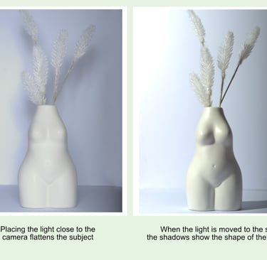 side lighting creates the strongest sense that a subject has three dimensions.