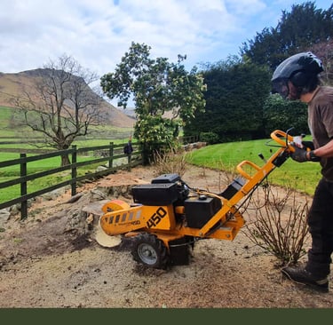 stump grinding