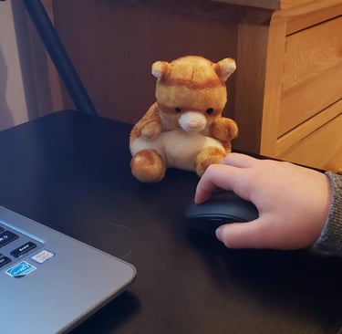 Kid working on laptop with mouse