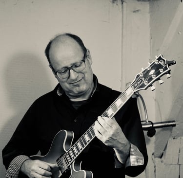 Professioneller Unterricht von professionellem Musiker