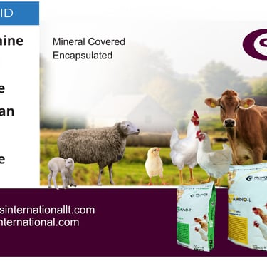 The optimal concentration and ratio of lactic, citric, acetic, formic, and propionic acids for maxim