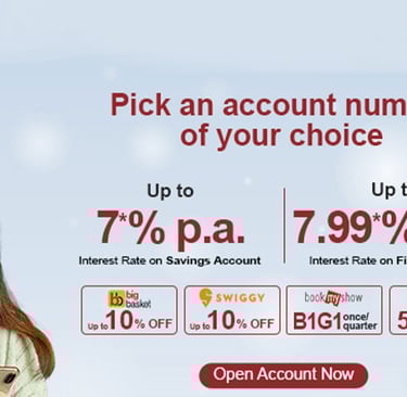 Indusind Saving Account Benefits