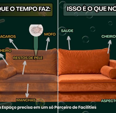beneficios higienização de estofados