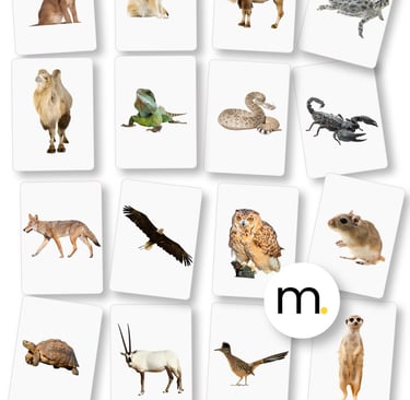 Printed Montessori Desert animals flash cards English Spanish real photographs