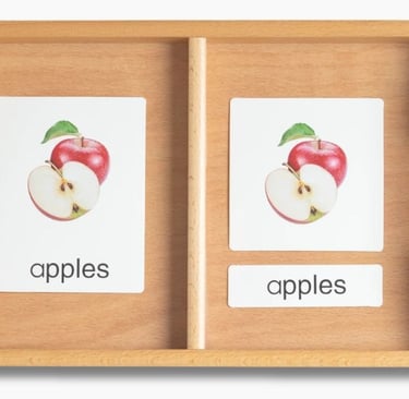 How to use nomenclature cards Montessori style: three part cards laid out on a tray