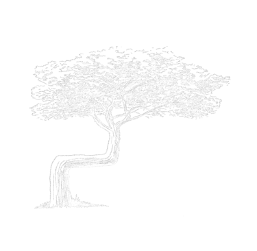Trail Tree Acres