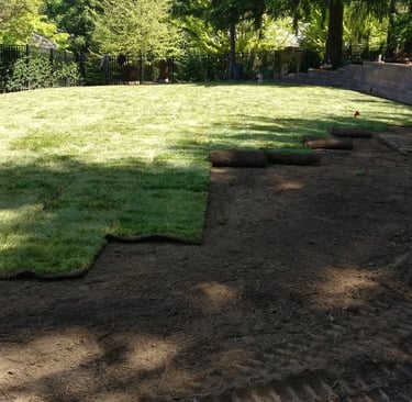 Lawn Installation Services in Portland Lake Oswego West Linn Cedar Mills West Portland Tigard