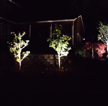 LED Landscape Lighting Services in Portland, Lake Oswego